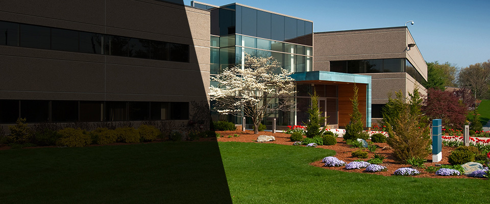 Wytheville Landscapers