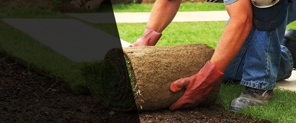 Wytheville Landscapers